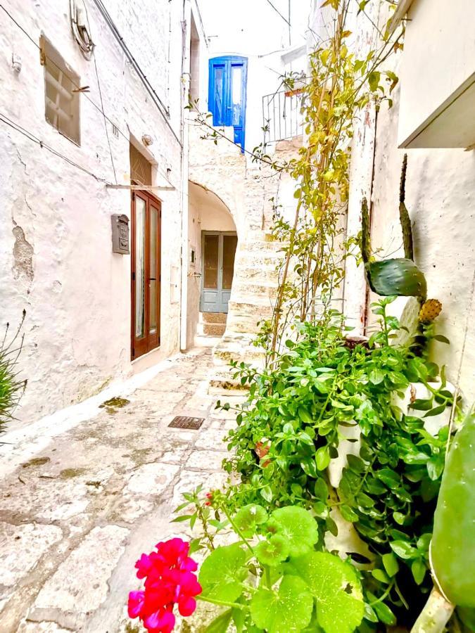 White Stone- La Terrazza Villa Ostuni Exterior photo